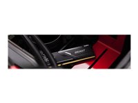 Kingston KF432C16BBK2/16 FURY Beast 16GB (2x8GB) DDR4 3200 MT/s DIMM Desktop Memory