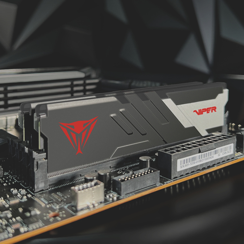 Patriot Memory Viper Venom (PVV564G560C40K), 64 GB DDR5 5600 MHz, 288-pin DIMM RAM for PC/Server