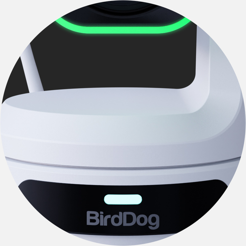 White wired camera with auto and manual exposure for day and night surveillance