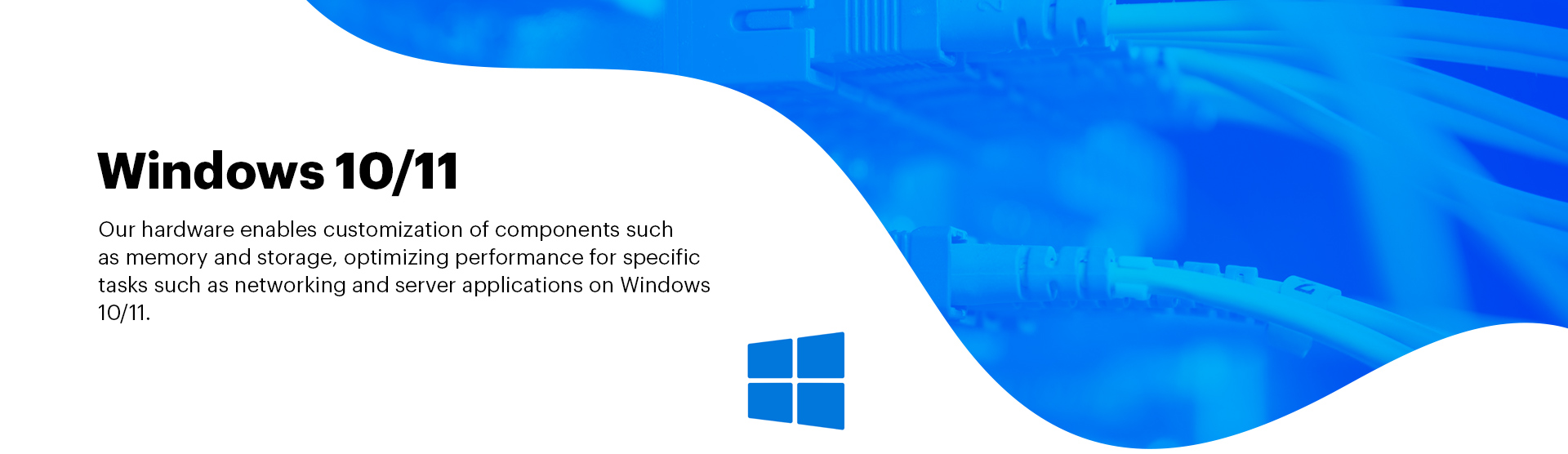 Windows 10/11