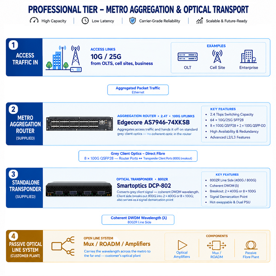 Professional Metro Aggregation & Optical Transport for Mixed 10G/25G Access