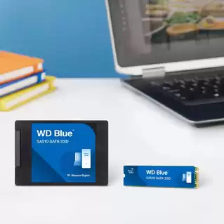 Western Digital Blue SA510, 500 GB 560 MB/s 6 Gbit/s 2.5"  SATA SSD