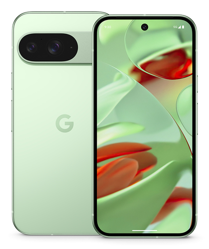 Google Pixel 9 16 cm (6.3"), 12 GB, 128 GB, 50 MP, Android 14, Wintergreen