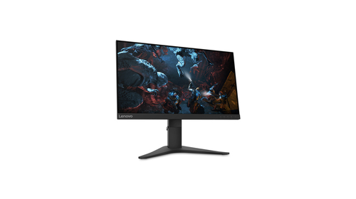 Lenovo G25-10, 62.2 cm (24.5"), 1920 x 1080 pixels, Full HD, LED Monitor