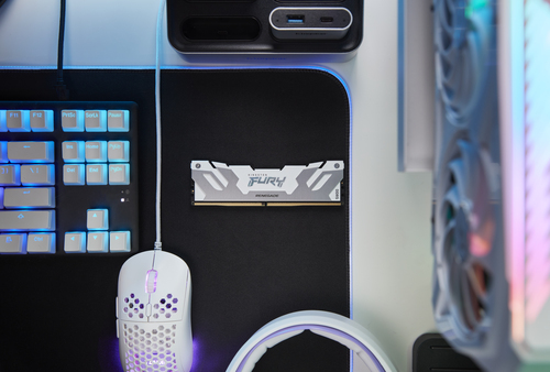 Kingston Technology (KF580C38RW-24), 24GB 8000MT/s DDR5 DIMM Renegade White,