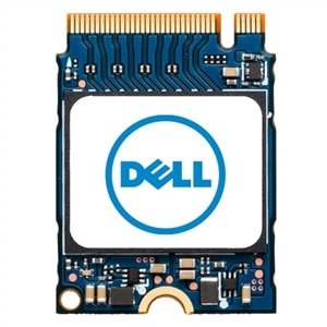 DELL AB292880, 256 GB, M.2 SATA, Internal Solid State Drive Reliable Storage