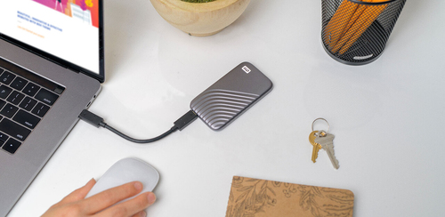 Western Digital My Passport 4 TB, USB Type-C,1050 MB/s, Password protection Grey