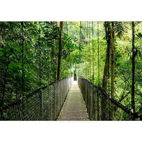 HP EliteBook 6 G1i 16 inch Notebook AI PC Intel Core Ultra 5  16 GB, 512 GB