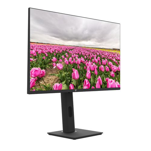V7 23.8" FHD IPS LED Monitor, 60.5 cm (23.8"), 1920 x 1080 pixels