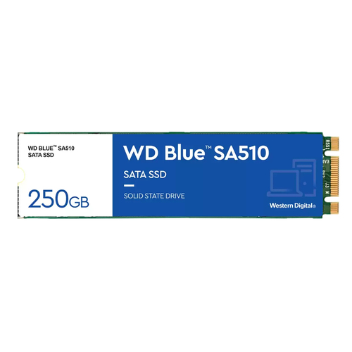 Western Digital Blue SA510 250GB M.2 SATA SSD 555MB/s High-Speed  Storage