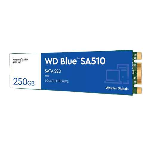 Western Digital Blue SA510 250GB M.2 SATA SSD 555MB/s High-Speed  Storage