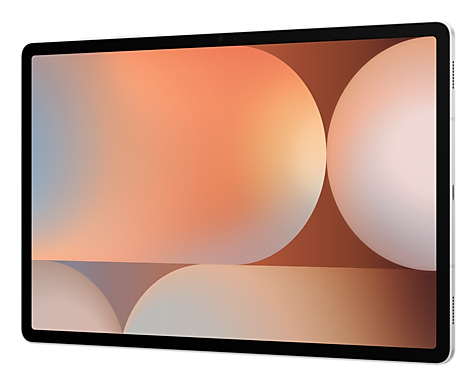 Samsung Galaxy Tablet S Galaxy S10+ 12.4" 2800 x 1752 256GB 12GB Platinum Silver