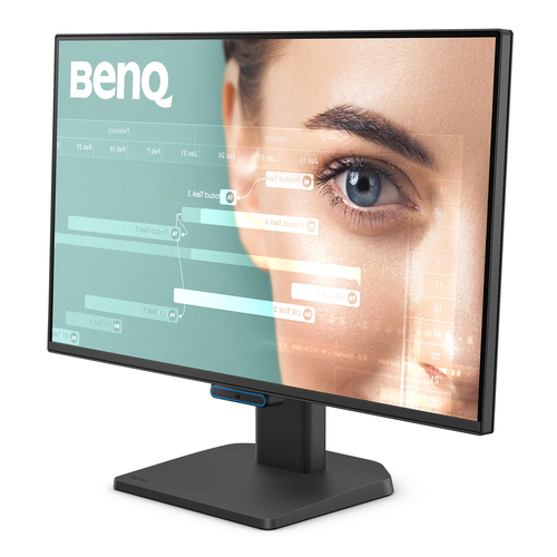 BenQ GW2490C 23.8" 1920 x 1080 pixels Full HD Monitor Black