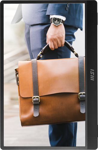 MSI PRO MP161 E2U, 39.6 cm (15.6"), LED, 1920 x 1080 pixels, Full HD Monitor