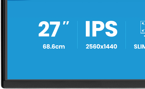 iiyama ProLite QHD monitor displaying sharp 1440p visuals for work