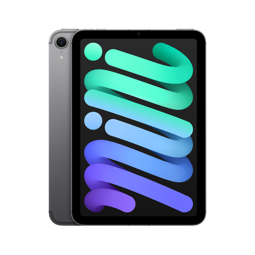 Apple iPad mini 7th Gen, 8.3in, Wi-Fi+Cellular,  256 GB, iPadOS 18,  Grey