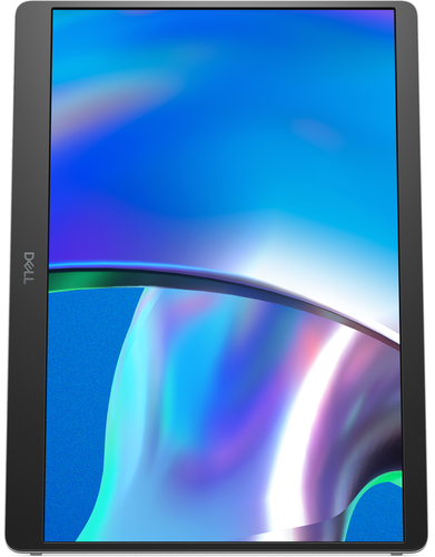 DELL Pro Plus P1425, 35.6 cm (14"), 1920 x 1200 pixels, WUXGA, LCD Monitor