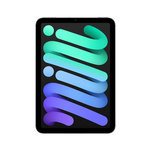 Apple iPad mini 7th Gen, 8.3in, Wi-Fi+Cellular,  256 GB, iPadOS 18,  Grey