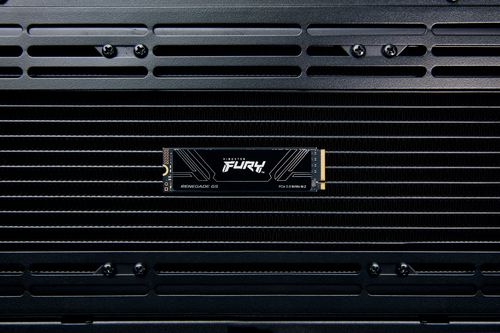 Kingston Technology 4T FURY RENEGADE G5, 4 TB 14800 MB/s M.2 2280 NVMe SSD