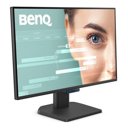 BenQ GW2490C 23.8" 1920 x 1080 pixels Full HD Monitor Black