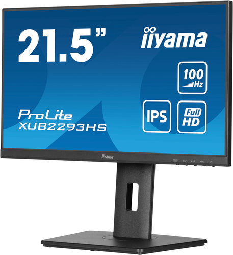 iiyama ProLite XUB2293HS workspace view with multi monitor configuration setup