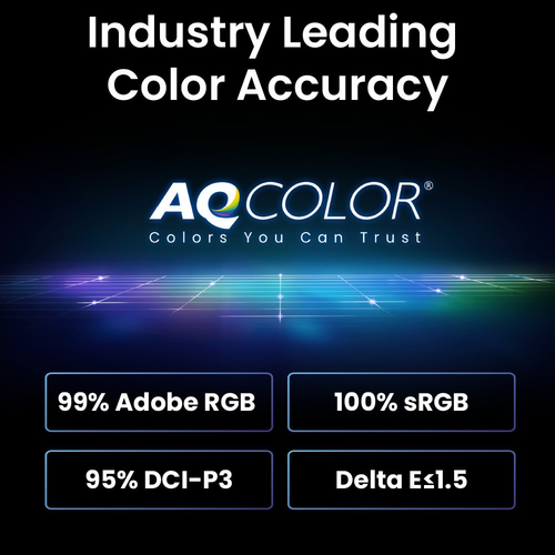 BenQ SW242Q, 61.2 cm (24.1"), 2560 x 1600 pixels, LED Monitor