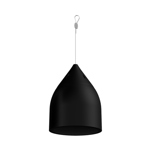 Biamp Desono DP6 black 6.5-inch pendant mount 2-way loudspeaker
