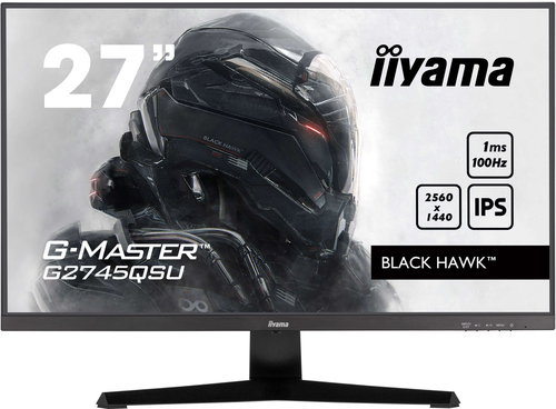 iiyama 27 inch WQHD monitor showing 2560 x 1440 resolution