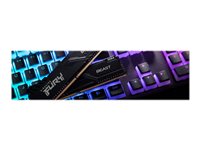 Kingston KF432C16BBK2/16 FURY Beast 16GB (2x8GB) DDR4 3200 MT/s DIMM Desktop Memory