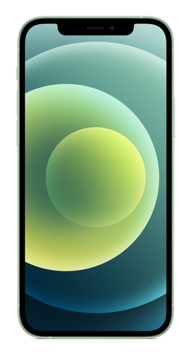 Apple iPhone 12, (6.1"), 2532 x 1170 pixels, 64 GB, iOS 17, Green