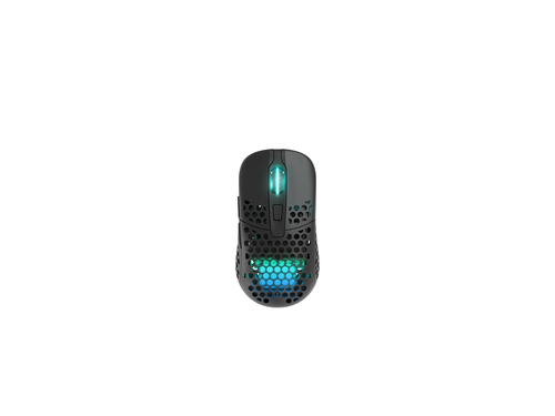 CHERRY XTRFY M42 RGB, Ambidextrous, Optical, RF Wireless + USB Type-C, 19000 DPI