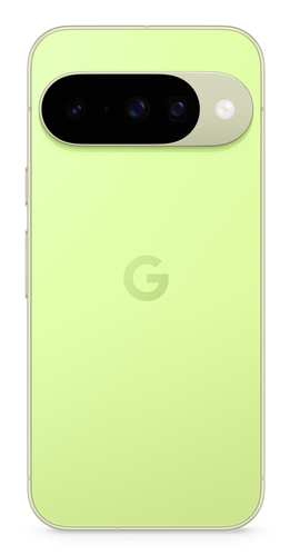 Rear view of Google Pixel 10 green highlighting the 48MP triple camera system and flash