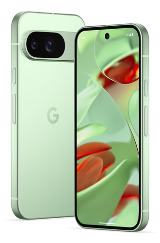 Google Pixel 9 16 cm (6.3"), 12 GB, 128 GB, 50 MP, Android 14, Wintergreen