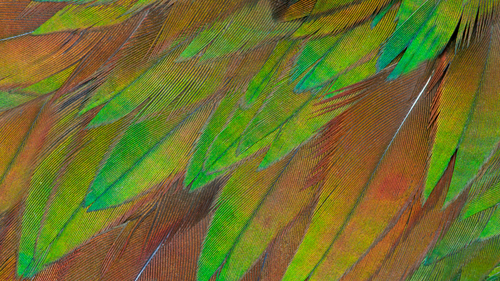 Philips 3000 series (27B1U3900/00), (27"), 3840 x 2160pixels, 4K UHD LCD Monitor