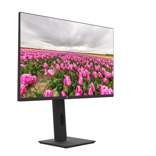 V7 23.8" FHD IPS LED Monitor, 60.5 cm (23.8"), 1920 x 1080 pixels
