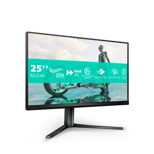 Philips Evnia 3000 25M2N3200U/00 24.5" 1920 x 1080 pixels LCD Monitor Grey