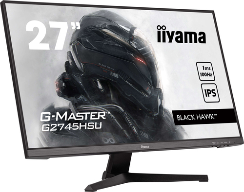 iiyama G-MASTER 27 inch Full HD monitor showing 1920 x 1080 resolution