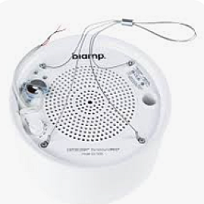 Rockville CCL6T white 70V ceiling plenum speaker for restaurant office