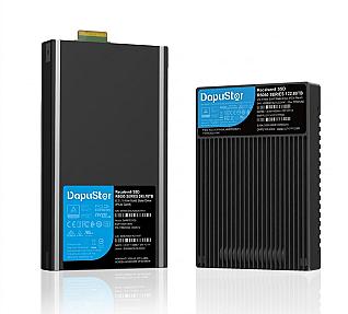 DapuStor R6060, 15.36TB, 3D Enterprise QLC NAND Flash, U.2 NVME SSD