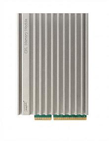 InnoDisk MM111-5DGH3A2BCA00, E3.S 2T PCIe Gen 5 CXL 2.0 128GB Memory Module