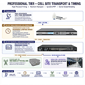 Professional Level Cell Site Transport & Timing for Aggregating Cell Sites