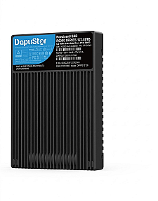 DapuStor R6060 15.36TB U.2 NVMe SSD front view with blue label and heatsink